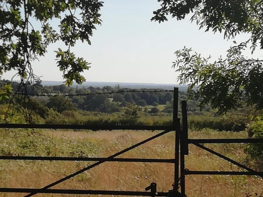 Cozy Loft In Bushey, 20 Mins By Train To Euston London Leilighet Eksteriør bilde