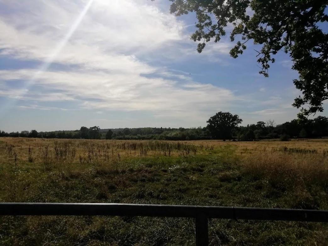 Cozy Loft In Bushey, 20 Mins By Train To Euston London Leilighet Eksteriør bilde