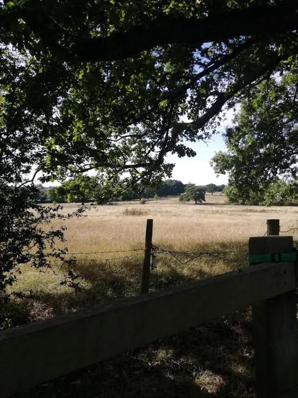 Cozy Loft In Bushey, 20 Mins By Train To Euston London Leilighet Eksteriør bilde